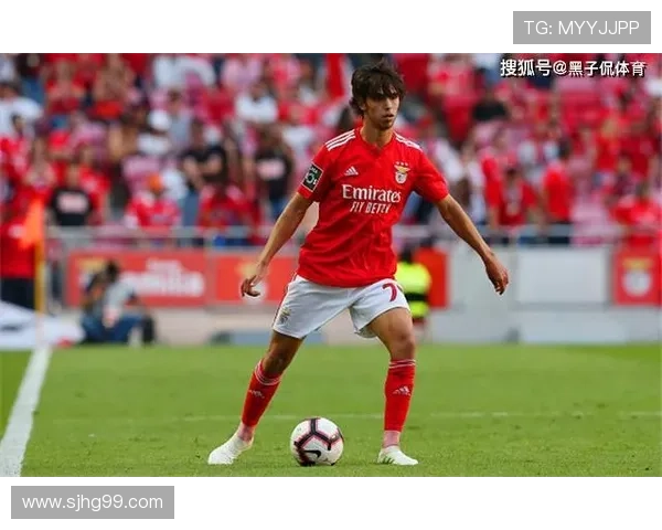 葡萄牙足球俱乐部转会利润创纪录，市场趋势值得关注与分析