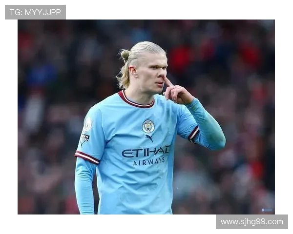 哈兰德数据化前锋 哈兰德数据化前锋