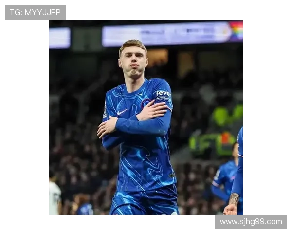 帕尔默带队能力的具体体现解析 帕尔默带队能力的具体体现解析